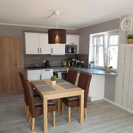 Seeschwalbe 1 アウリッヒ